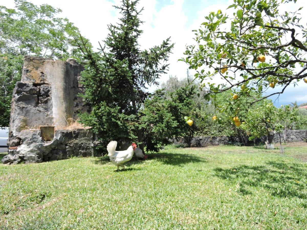 Villa Sciare Modò Acireale Exterior foto